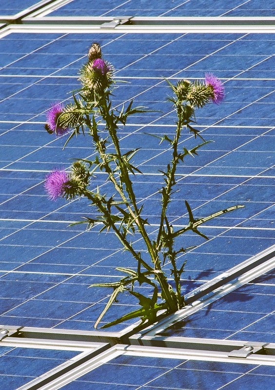 Col crowdfunding è oggi possibile finanziare diversi progetti, tra cui anche alcuni nel settore energetico.